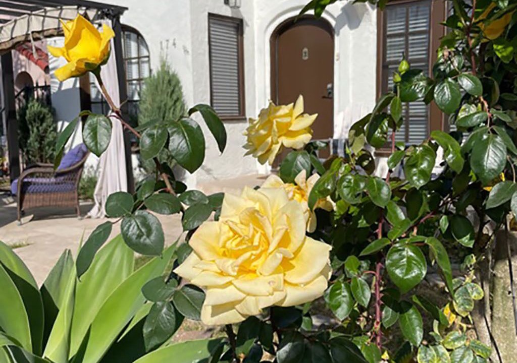 Photo of Outdoor in Belmont Shore