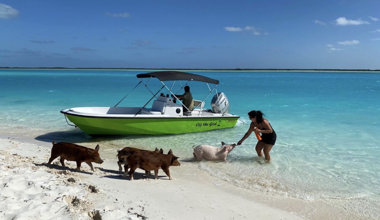 Photo of Others in Salt Pond
