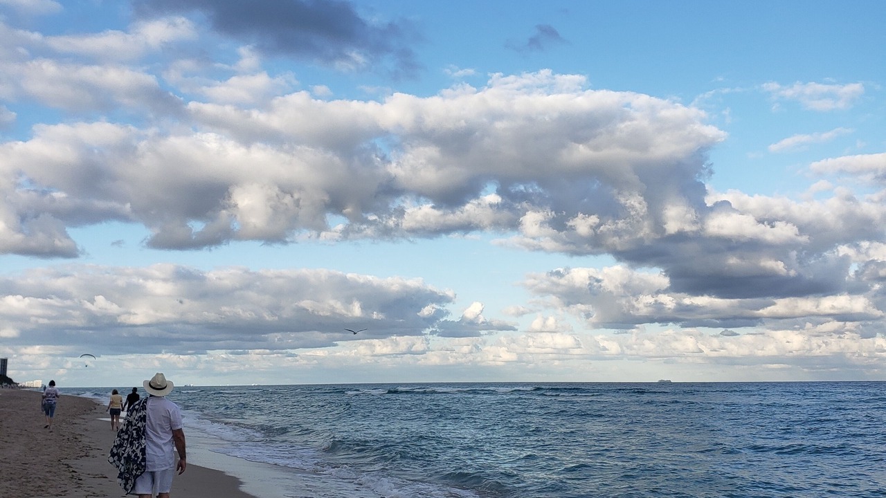 Photo of Others in Hallandale Beach