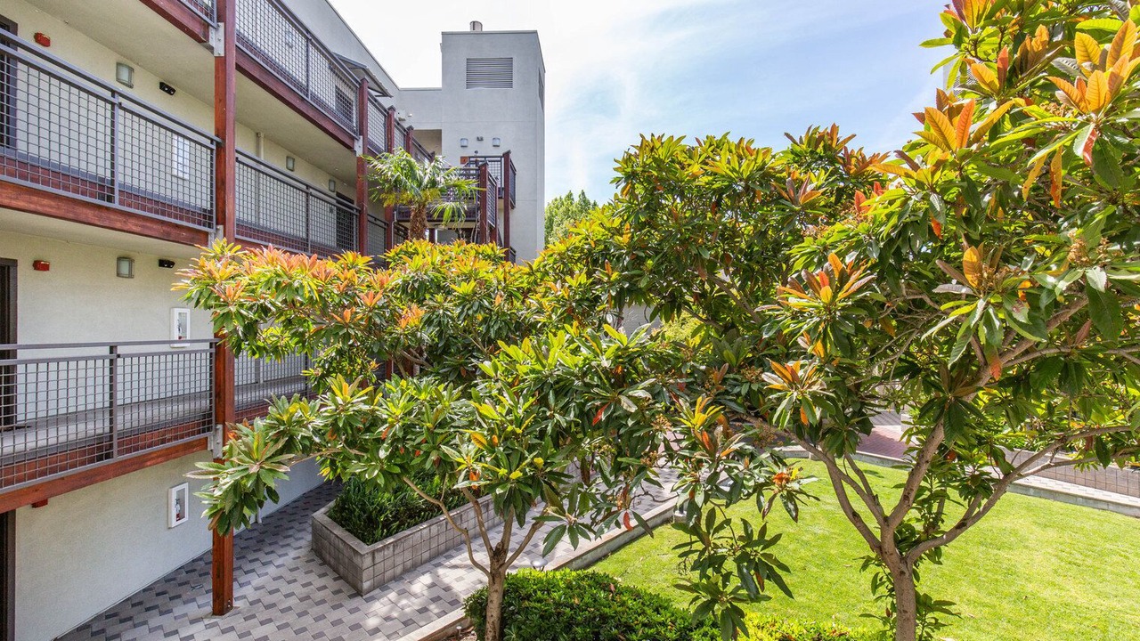 Photo of Outdoor in San Jose