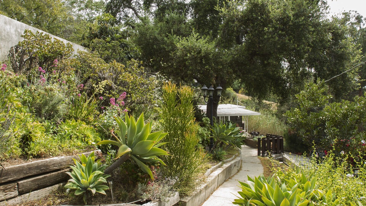 Photo of Outdoor in Elysian Heights