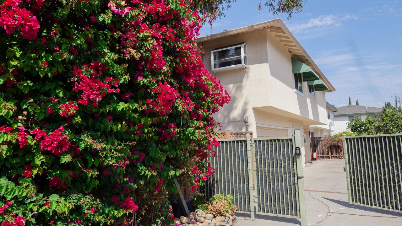 Photo of Outdoor in Sunnyvale