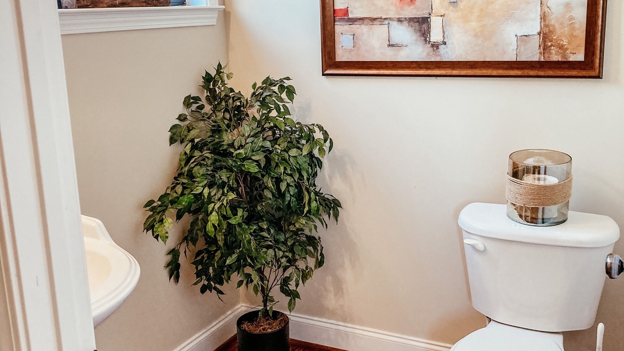 Photo of Bathroom in Hoover