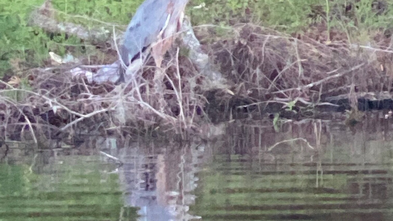 Photo of Others in DeLand