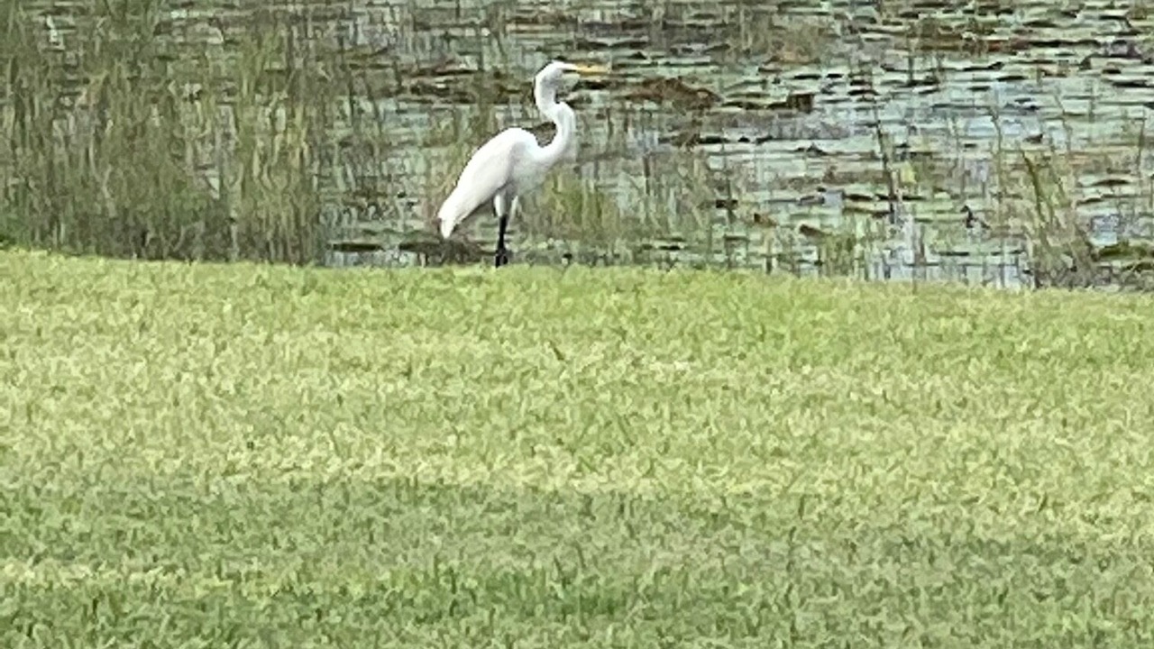 Photo of Others in DeLand