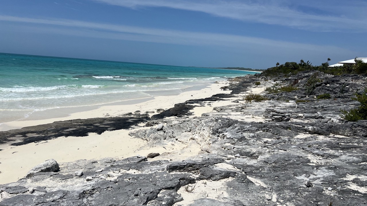 Photo of Others in Pigeon Cay