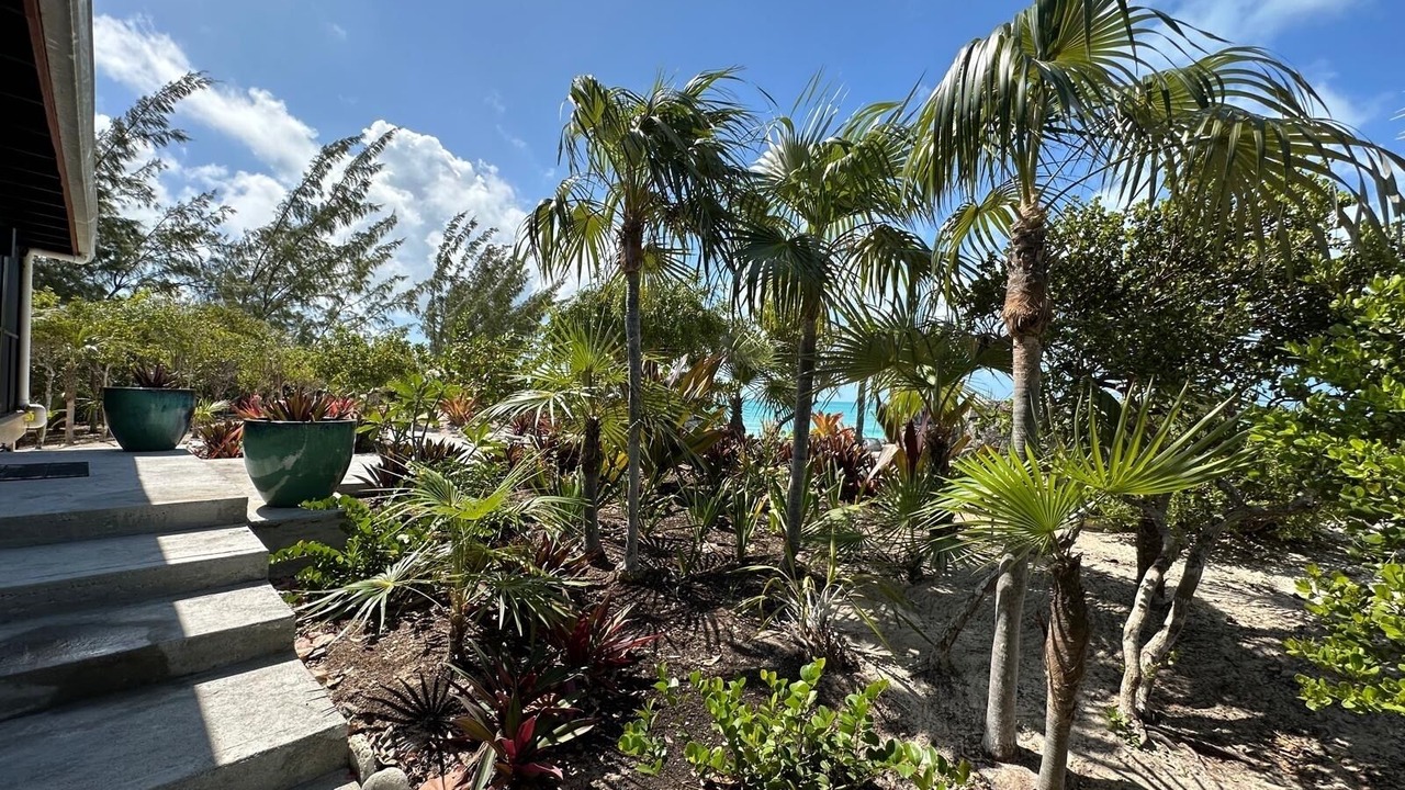 Photo of Outdoor in Pigeon Cay