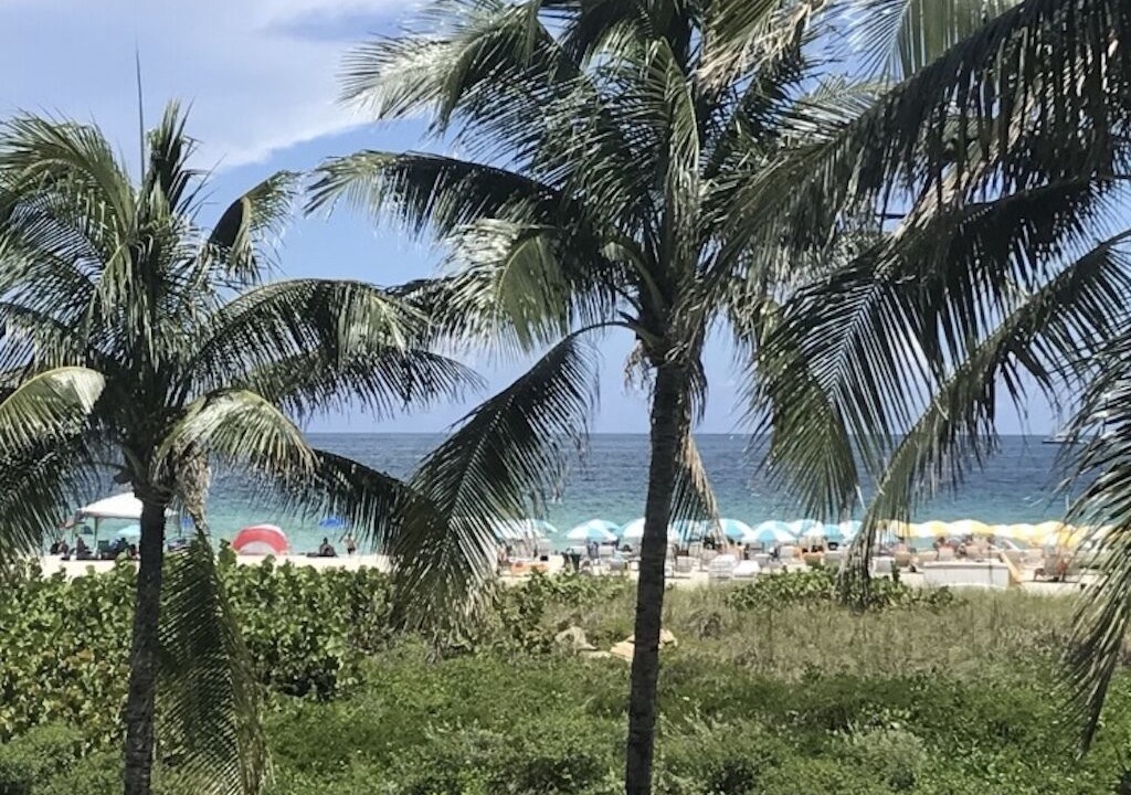 Photo of Others in South of Fifth