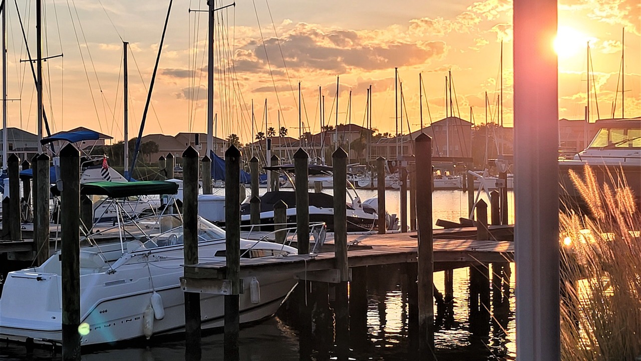 Photo of Others in Apollo Beach
