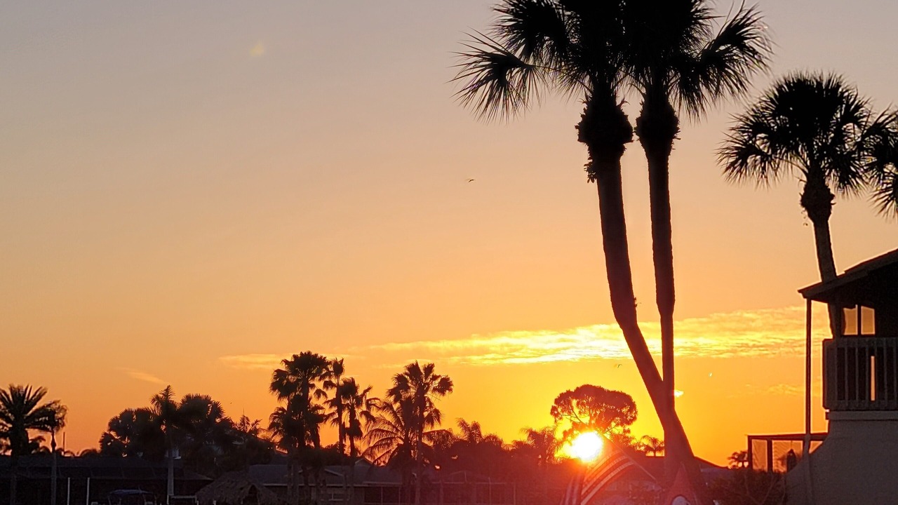 Photo of Others in Apollo Beach