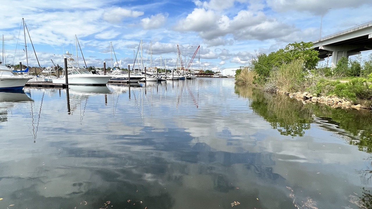 Photo of Others in Pensacola
