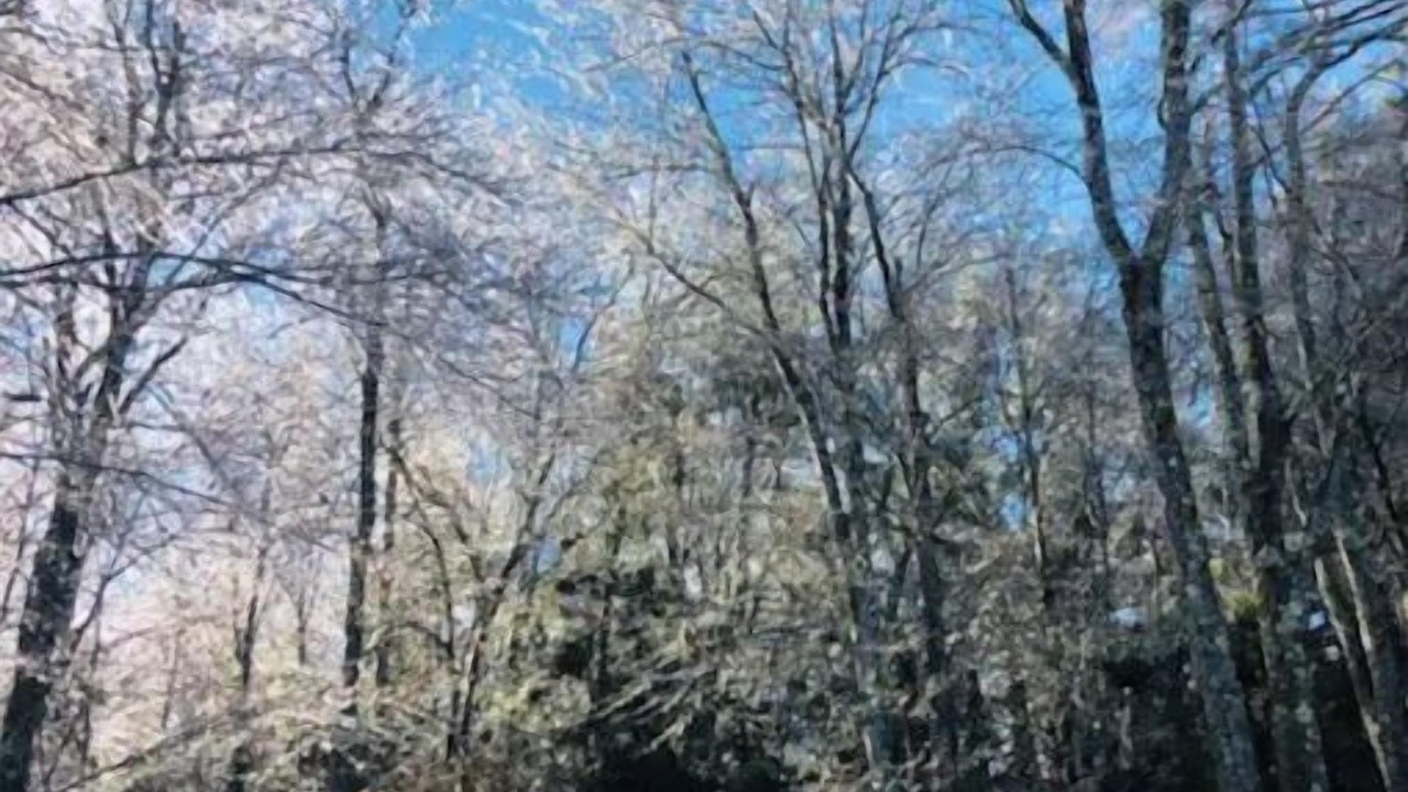 Photo of Others in Rock Hill