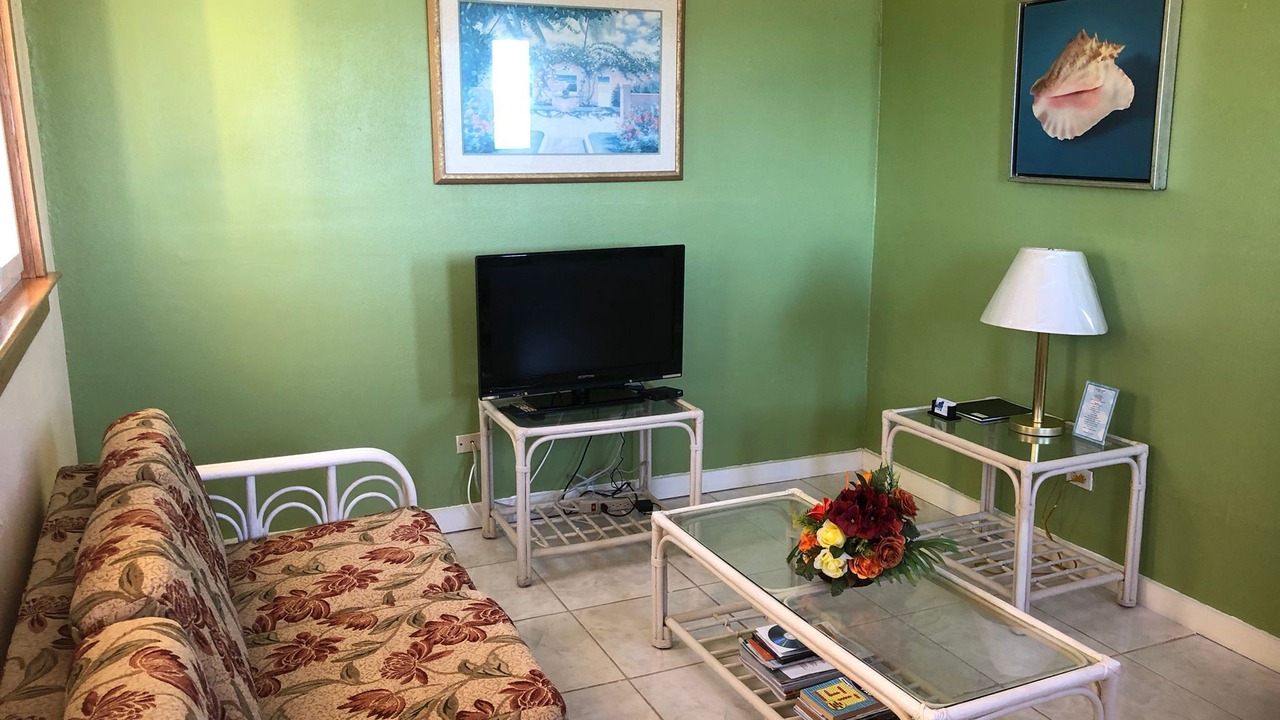 Photo of Livingroom in Andros Town