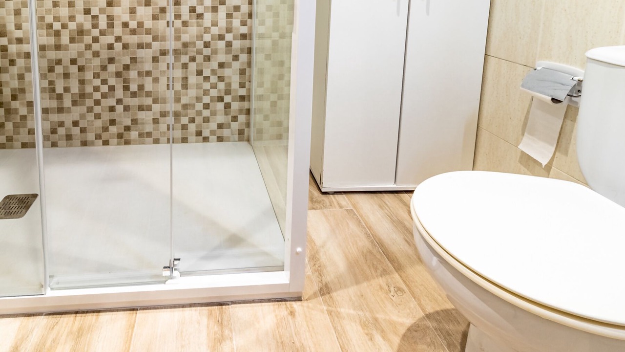 Photo of Bathroom in Llanca