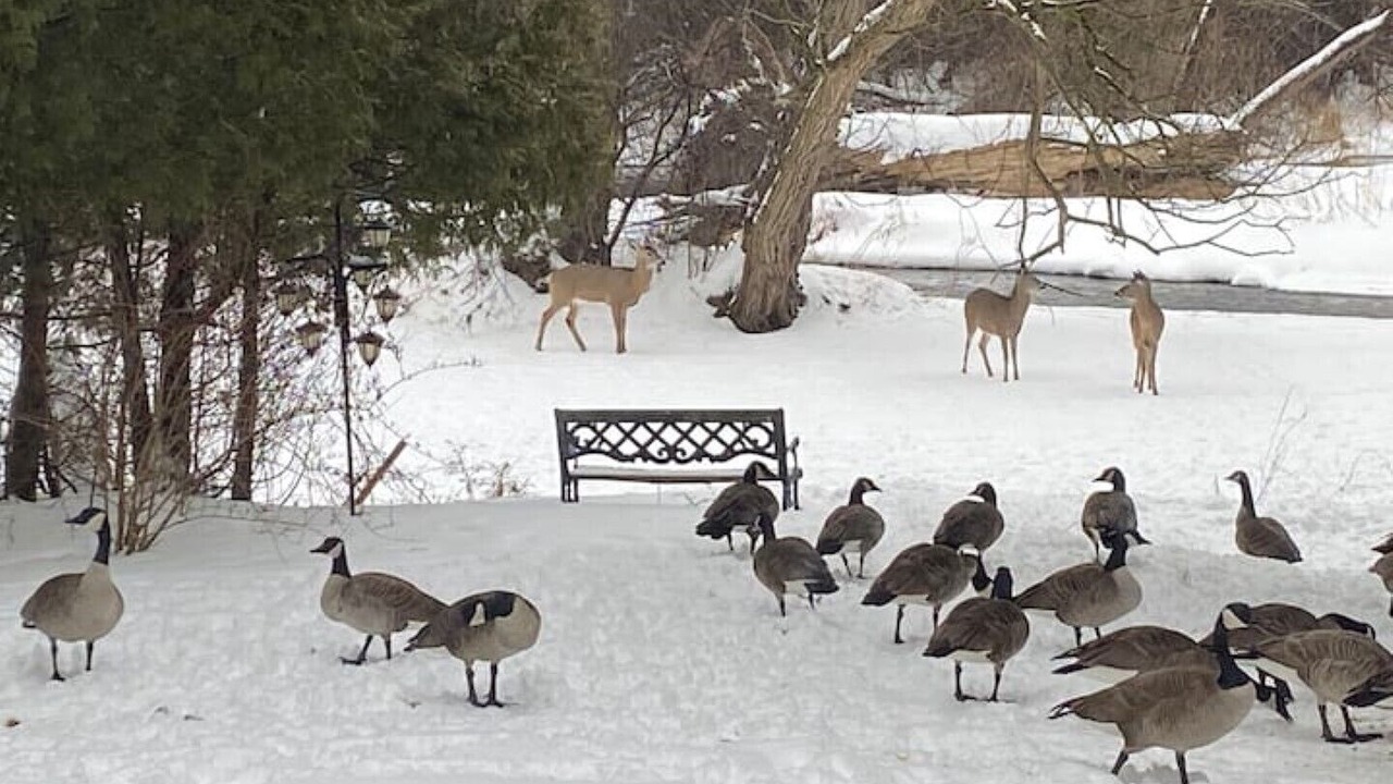 Photo of Outdoor in Cambridge