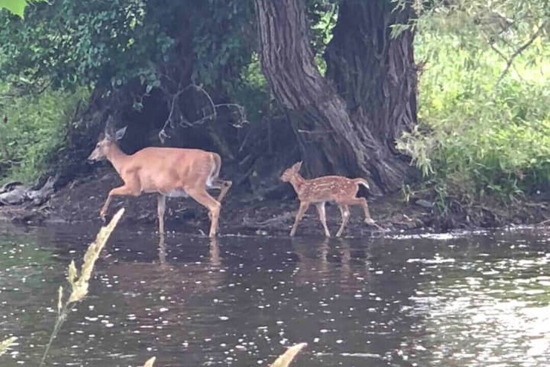 Photo of Outdoor in Cambridge