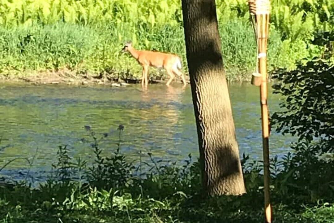 Photo of Outdoor in Cambridge