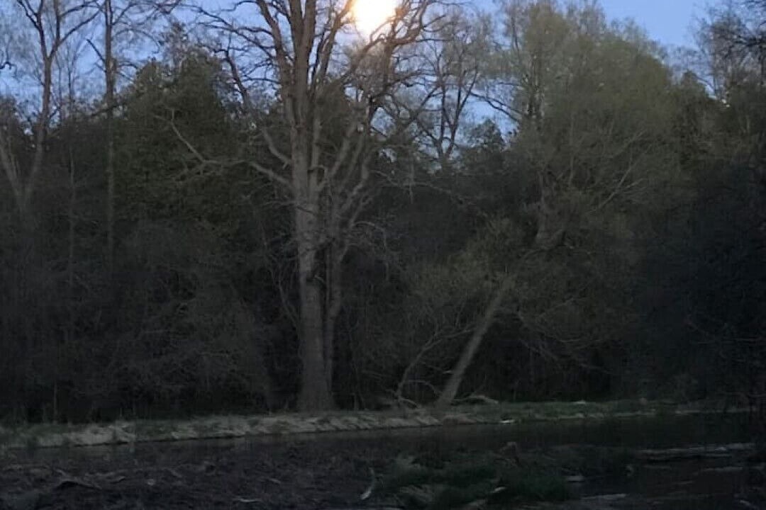 Photo of Outdoor in Cambridge