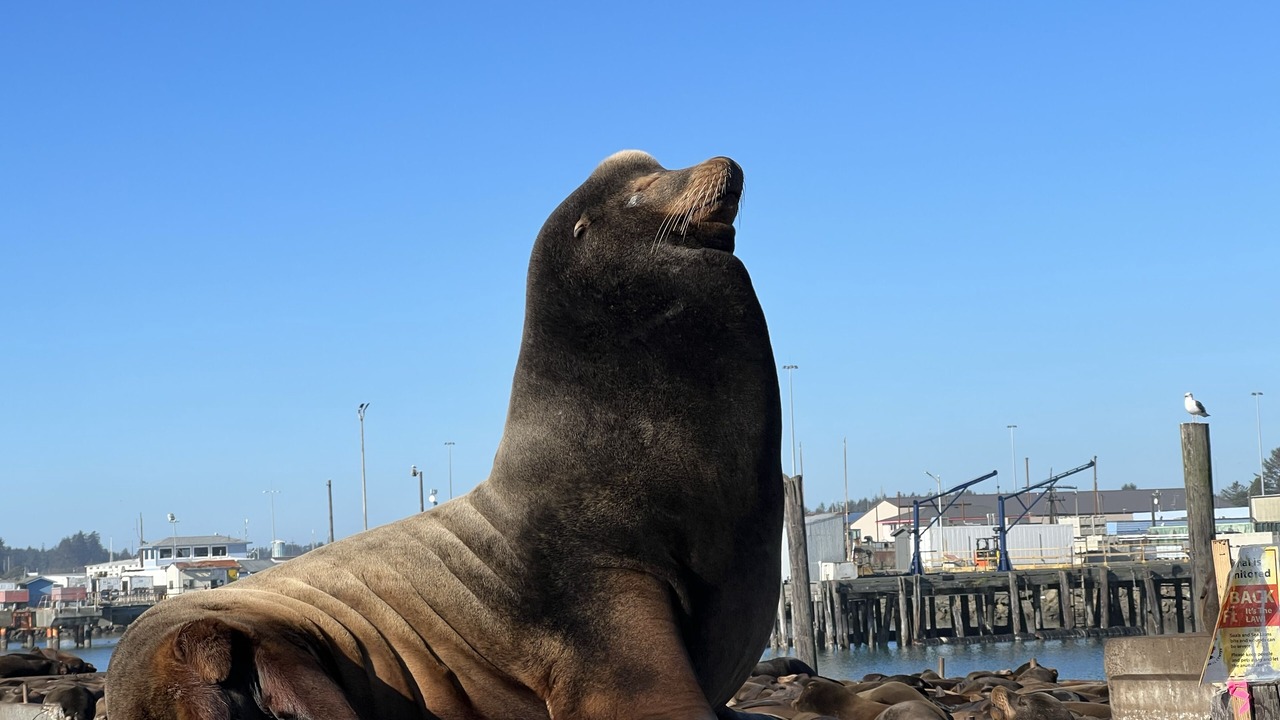 Photo of Others in Crescent City