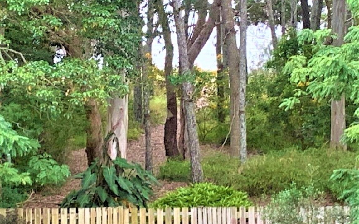 Photo of Others in Toogoom