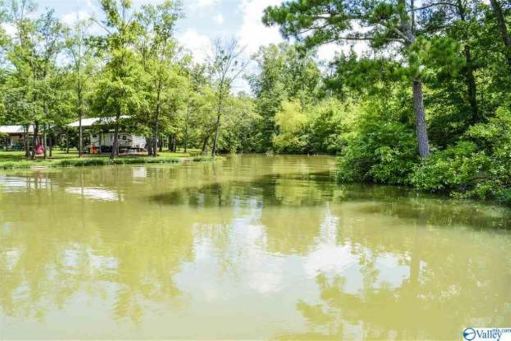 Photo of Others in Cedar Bluff