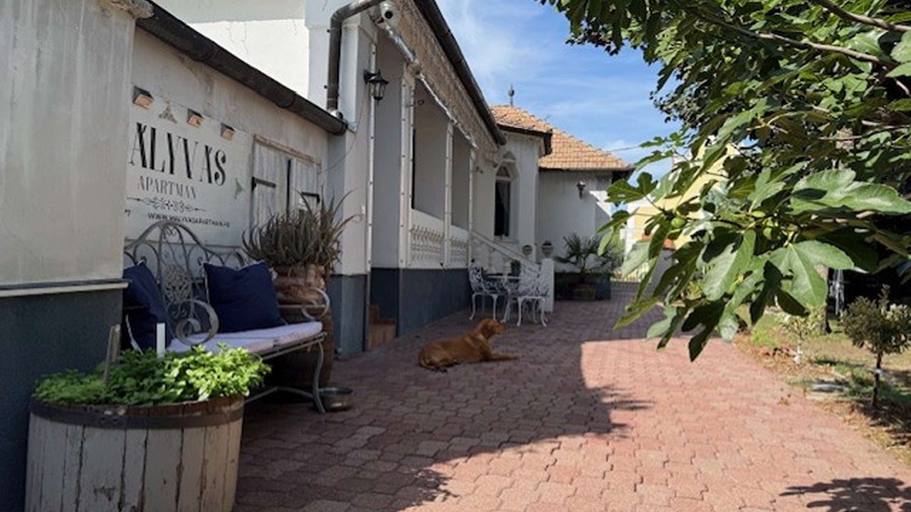 Photo of Outdoor in Balatonrendes