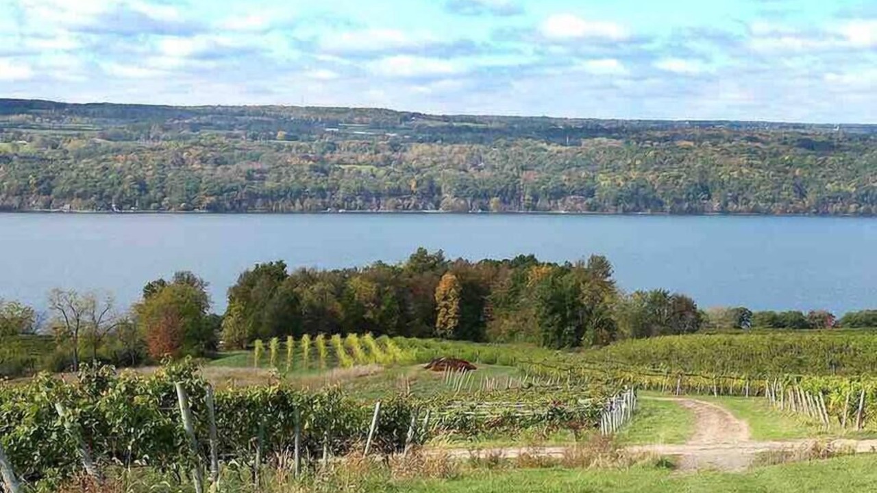 Photo of Outdoor in Valois