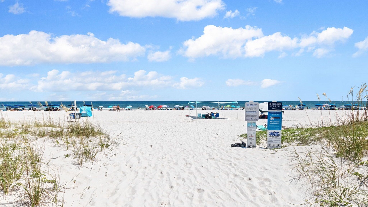 Photo of Others in Gulf Shores
