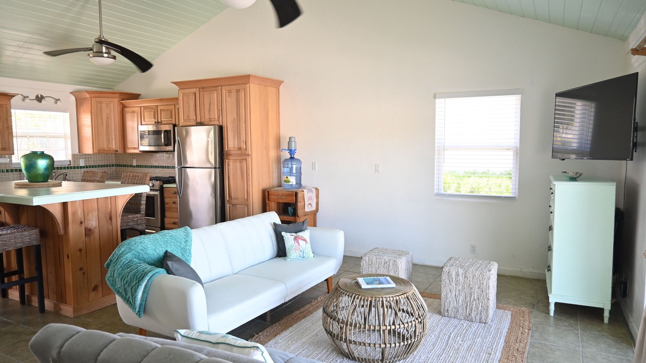 Photo of Livingroom in South Palmetto Point