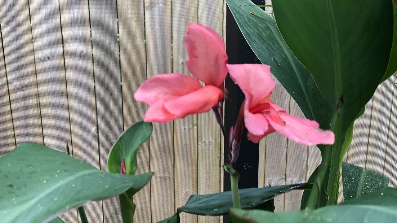 Photo of Outdoor in Hattiesburg