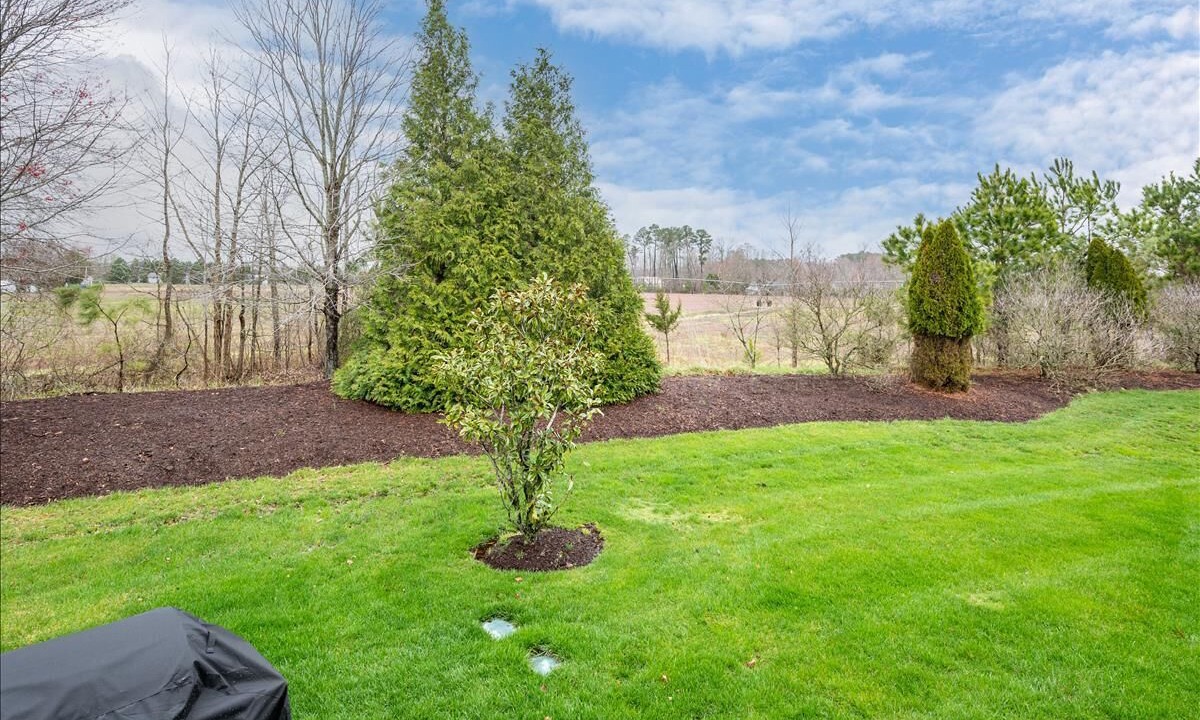 Photo of Outdoor in The Commons
