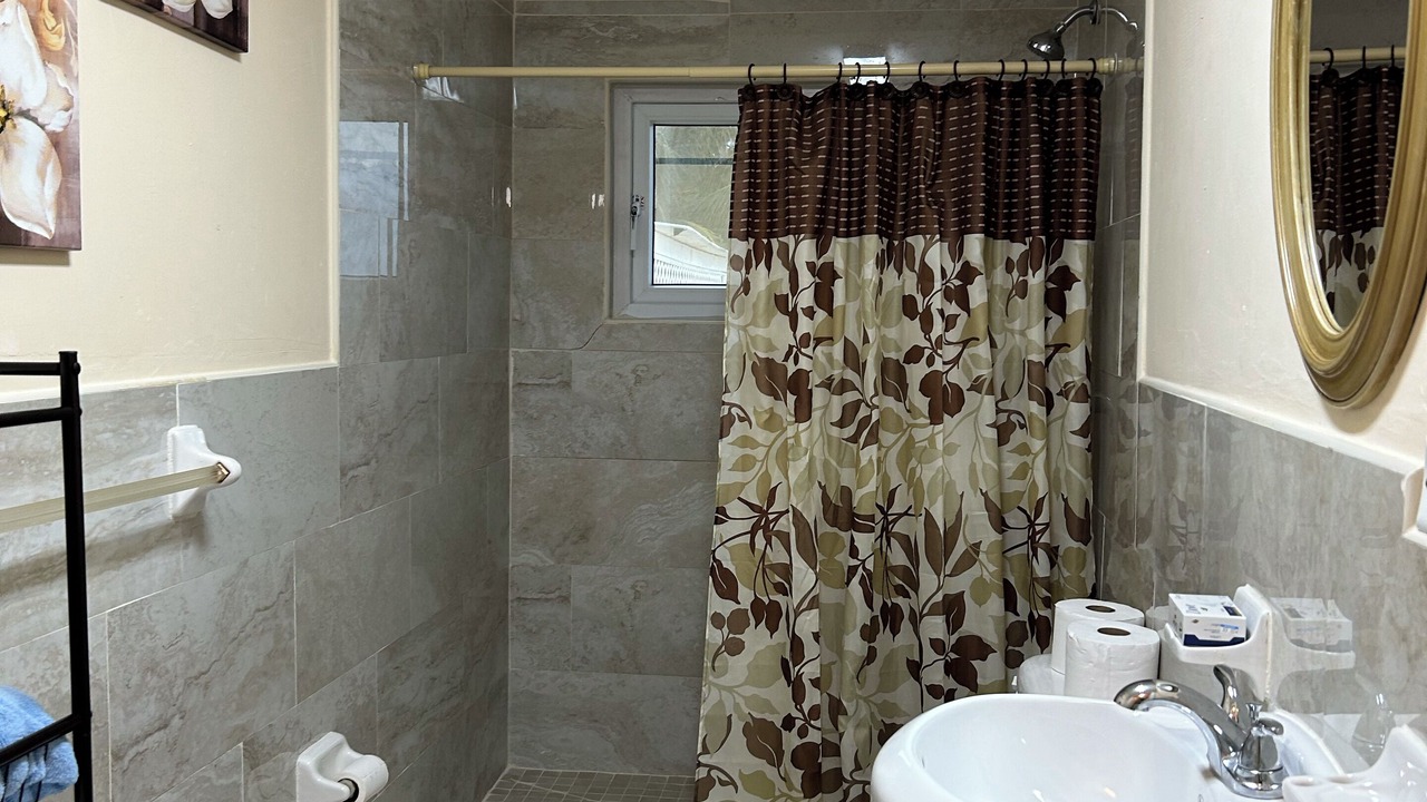 Photo of Bathroom in Andros Town