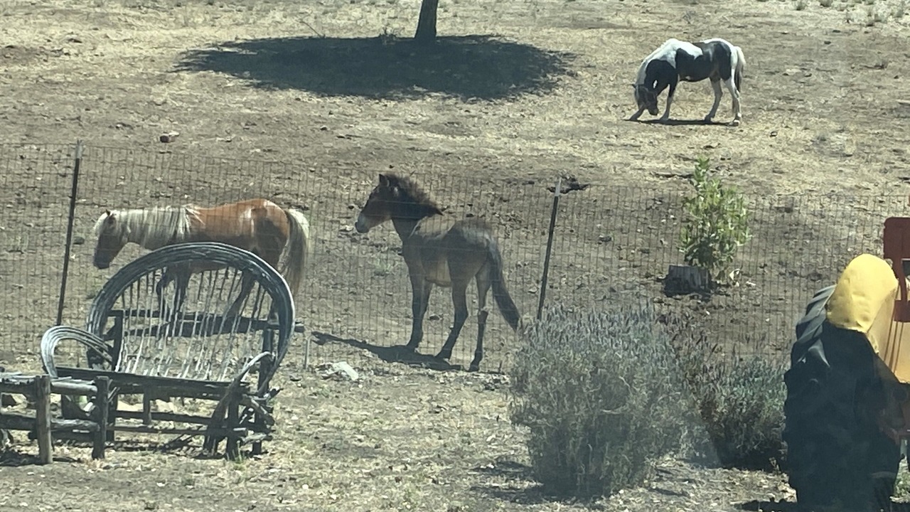 Photo of Others in Thousand Oaks