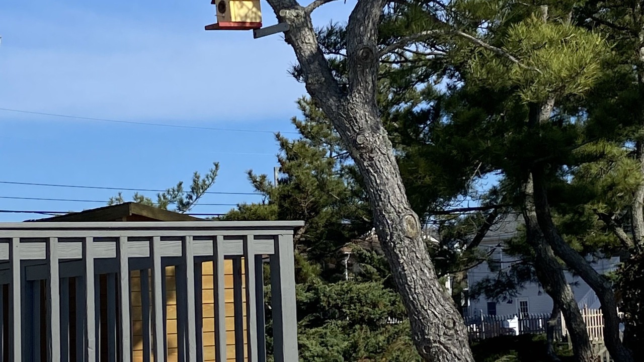 Photo of Outdoor in Waretown