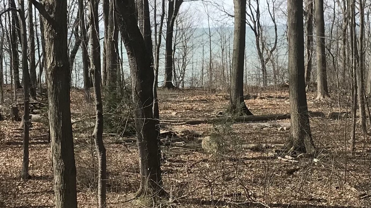 Photo of Outdoor in Chautauqua County