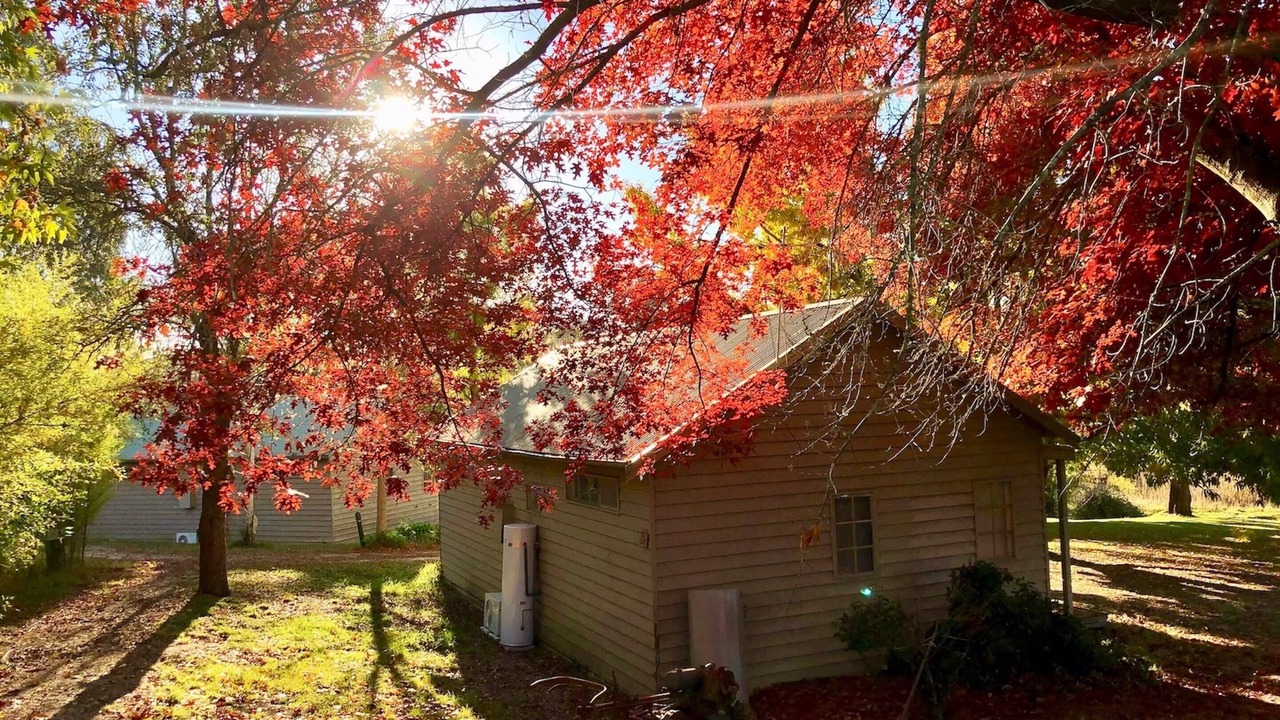 Photo of Outdoor in Acheron