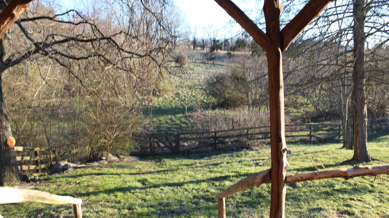 Photo of Outdoor in Jonesborough