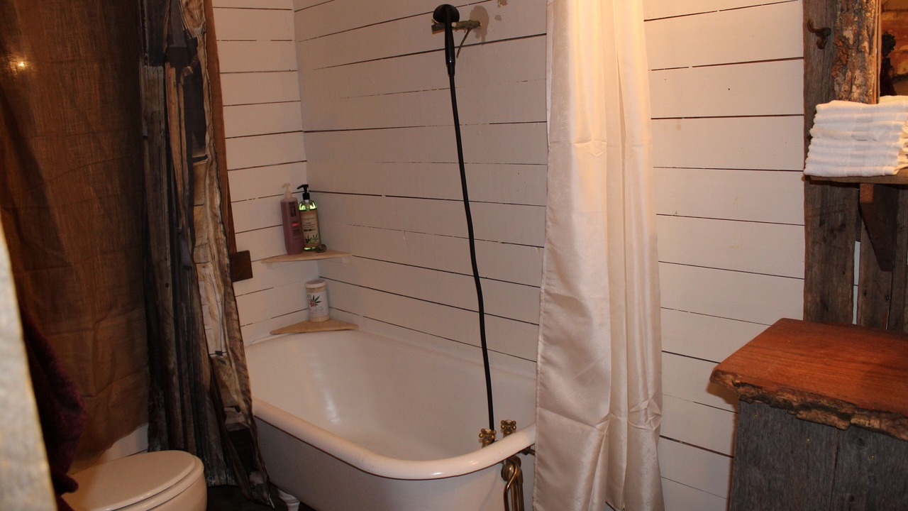 Photo of Bathroom in Jonesborough