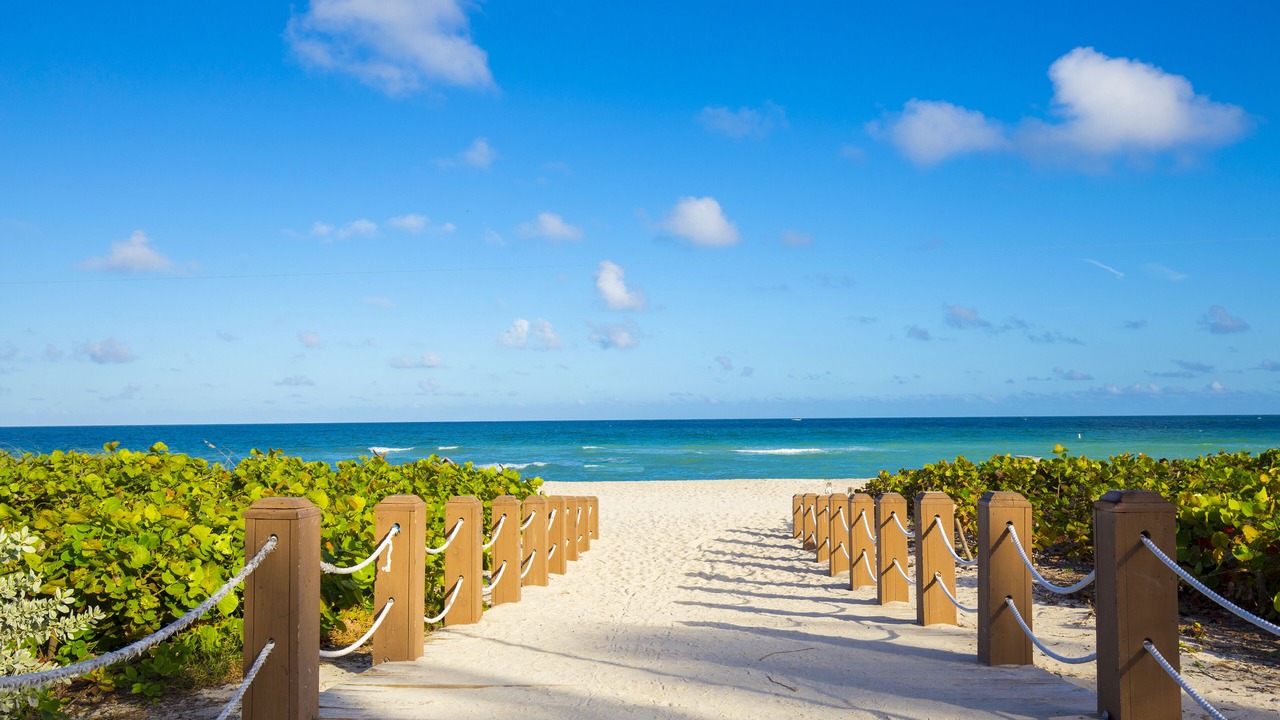 Photo of Others in South Beach