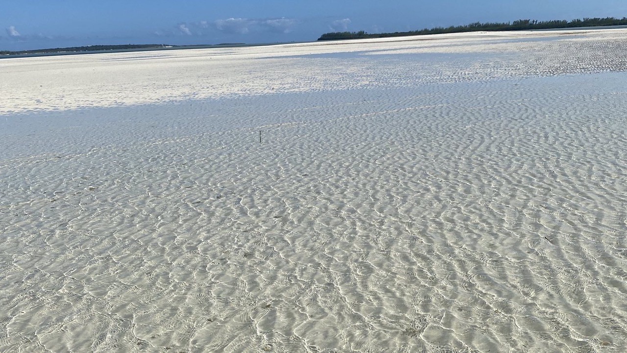 Photo of Others in Treasure Cay