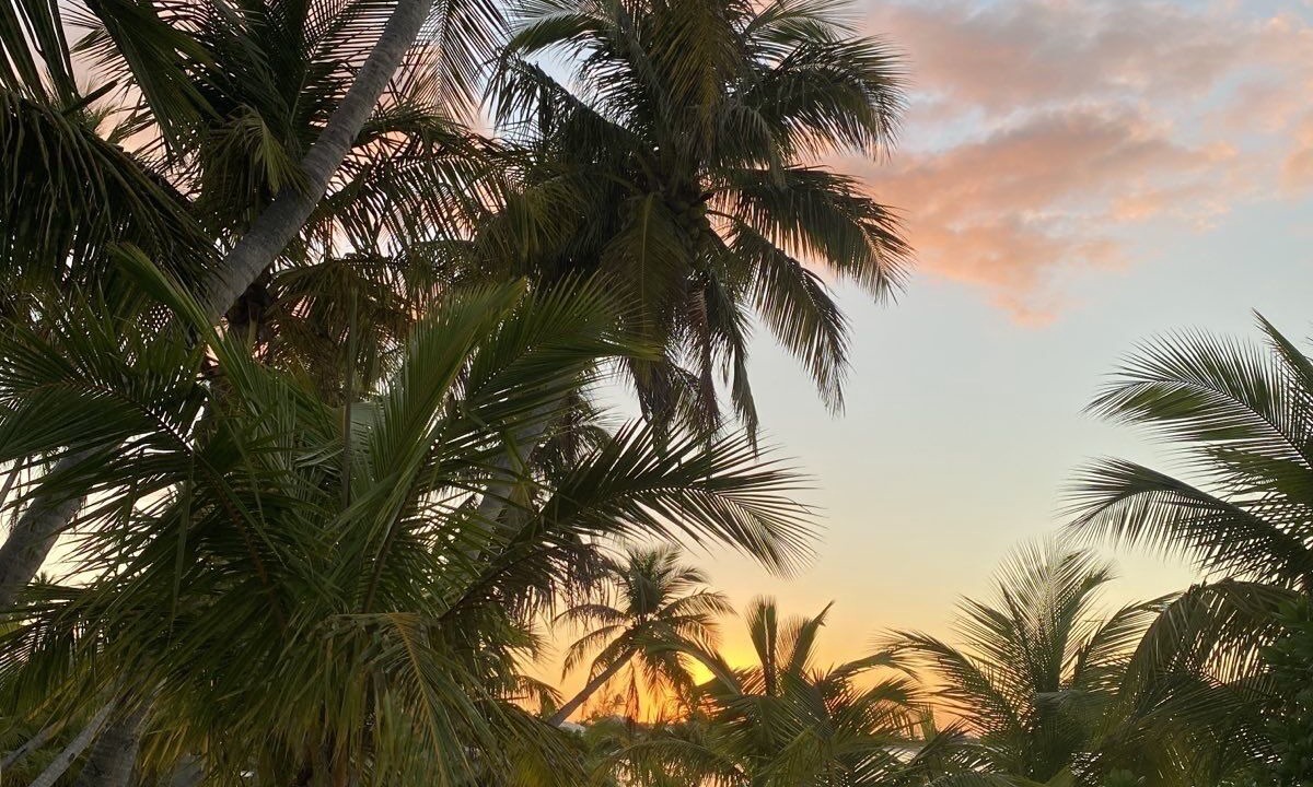 Photo of Outdoor in Treasure Cay