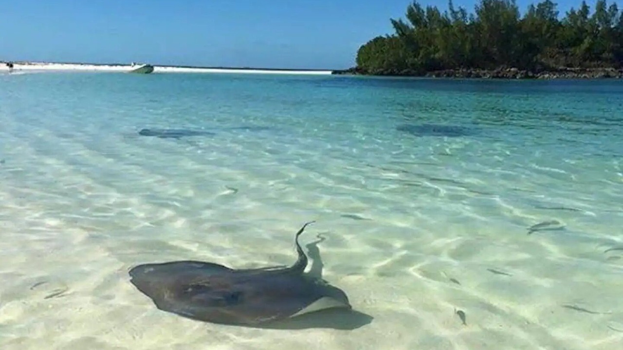 Photo of Others in Treasure Cay