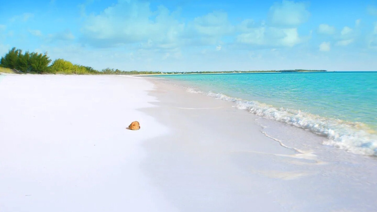 Photo of Others in Treasure Cay