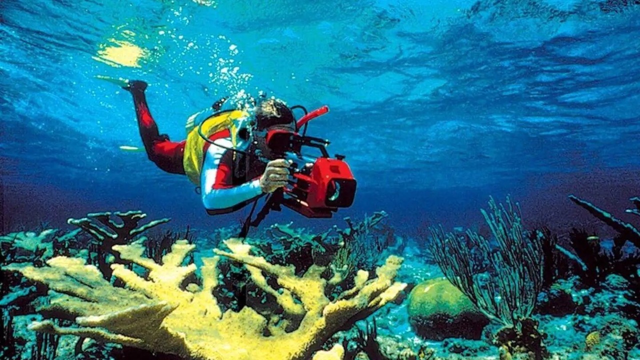 Photo of Others in Treasure Cay