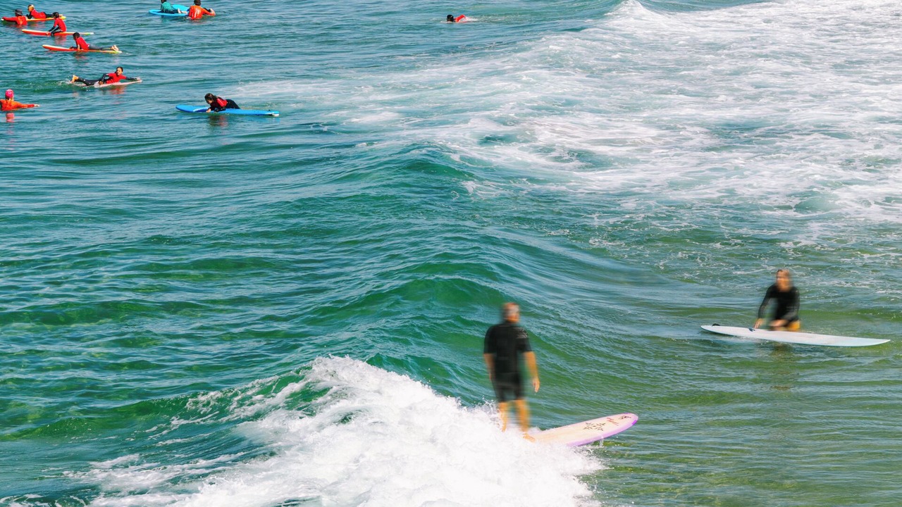 Photo of Others in Newport Shores