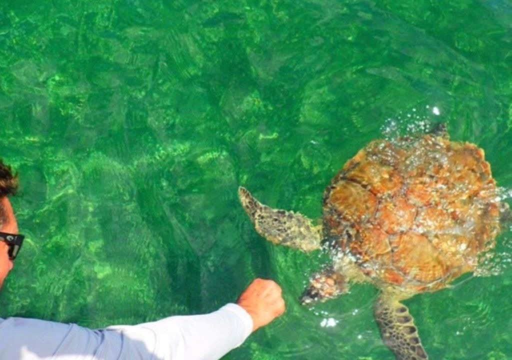 Photo of Others in Green Turtle Cay