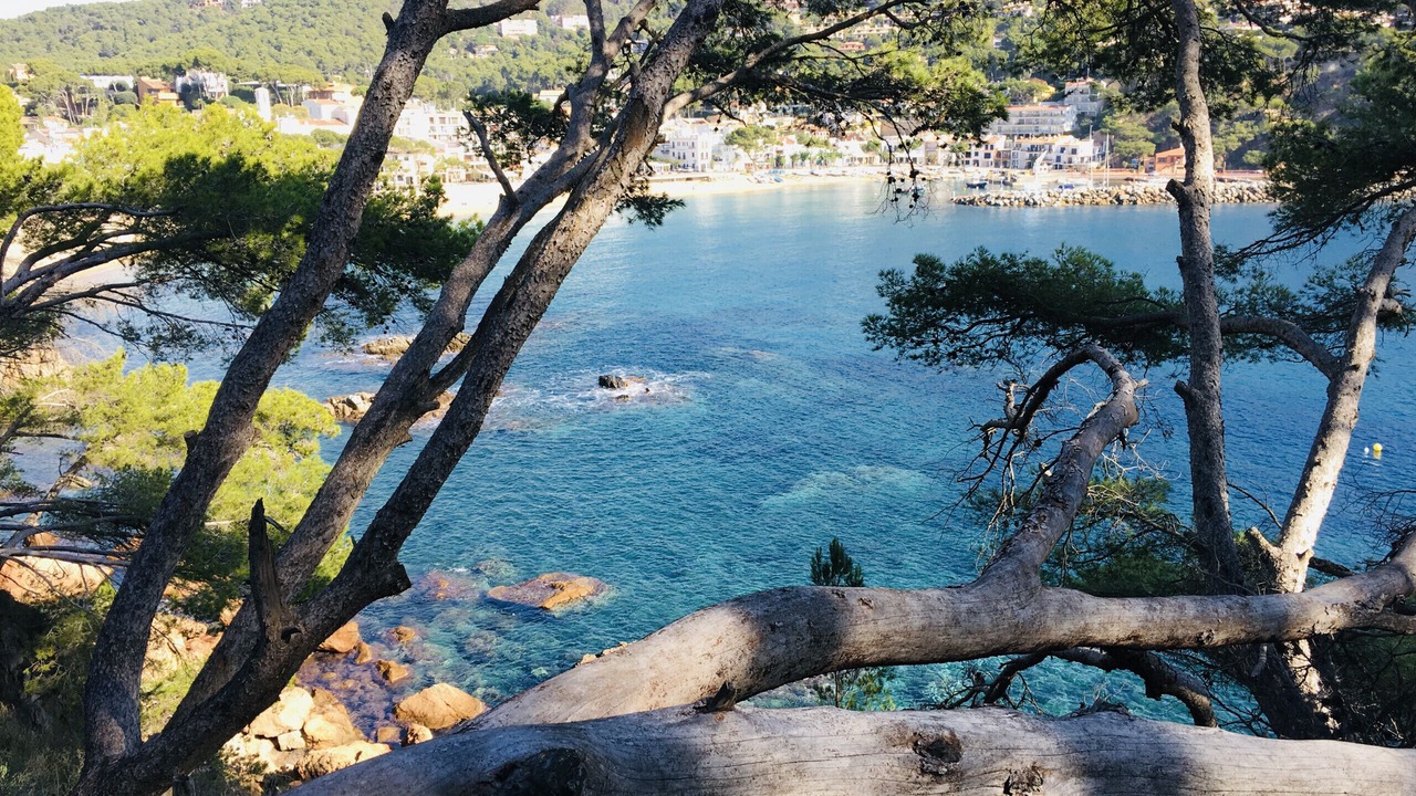 Photo of Others in Palafrugell