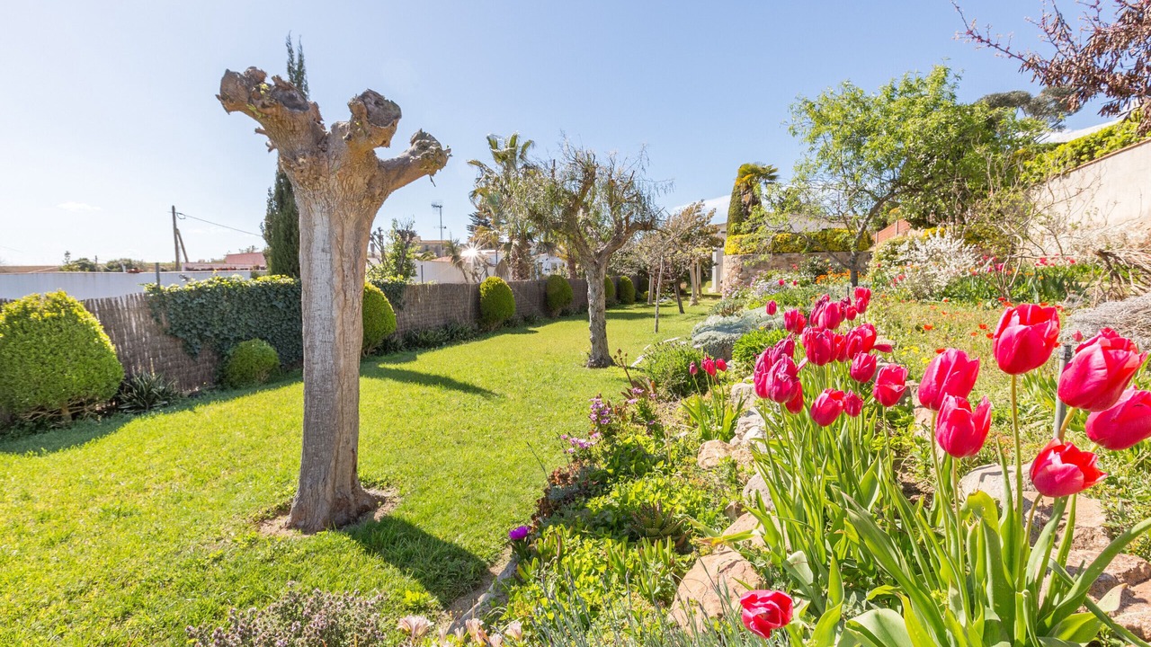 Photo of Outdoor in Blanes