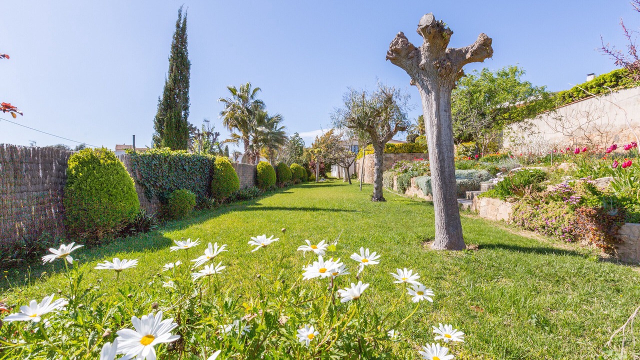 Photo of Outdoor in Blanes