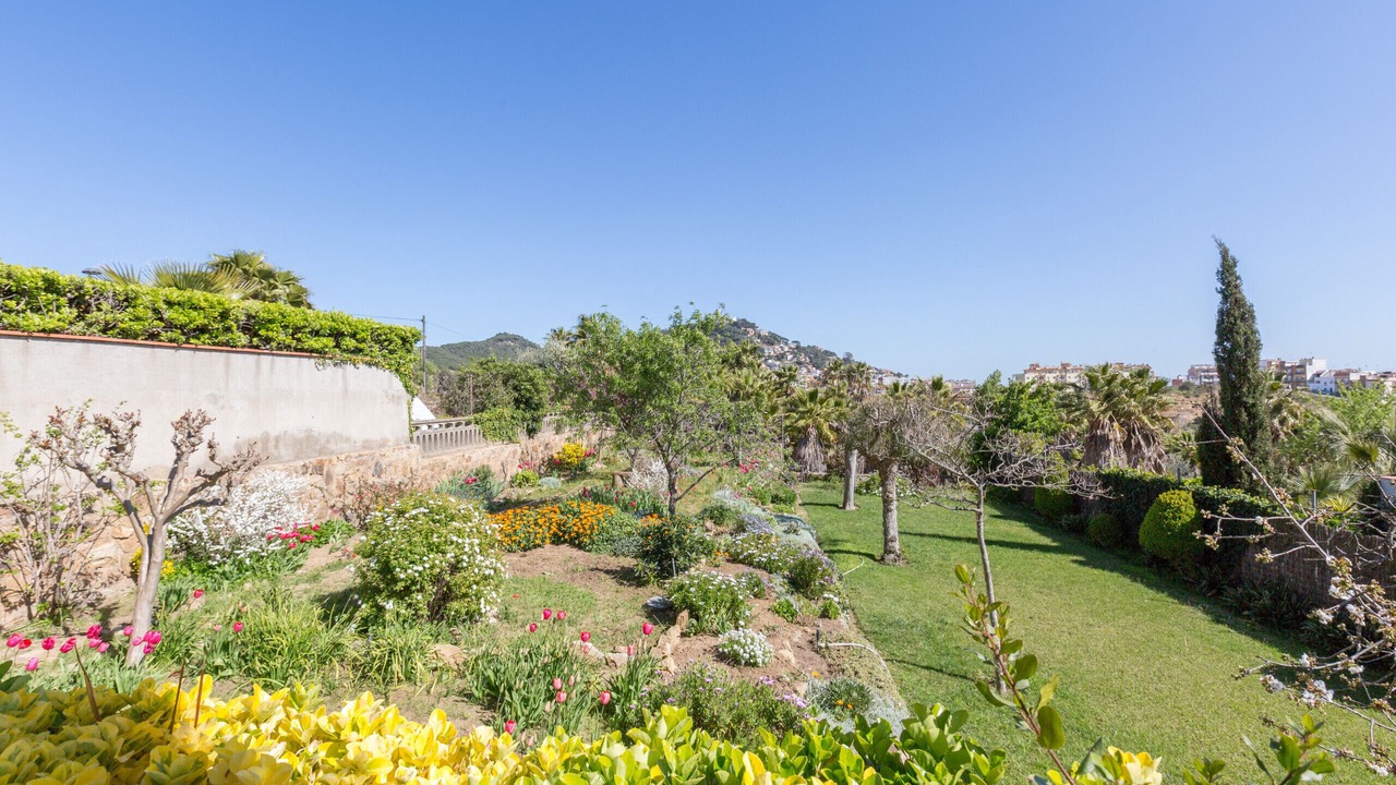 Photo of Outdoor in Blanes